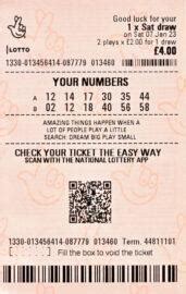 lucky dip or own numbers|Lottery Lucky Dips .